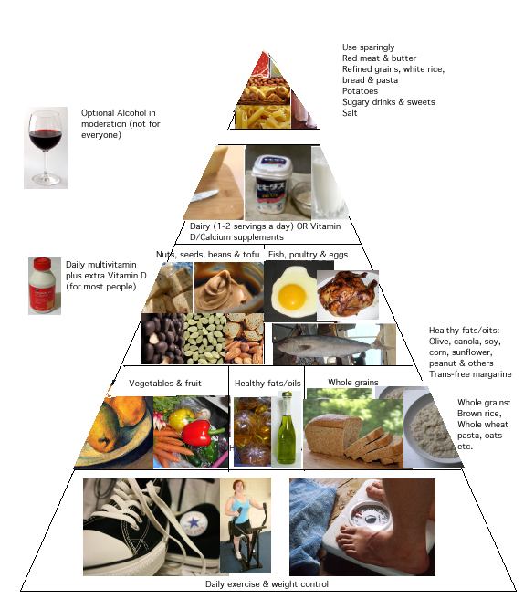 What are the 7 elements of nutrition