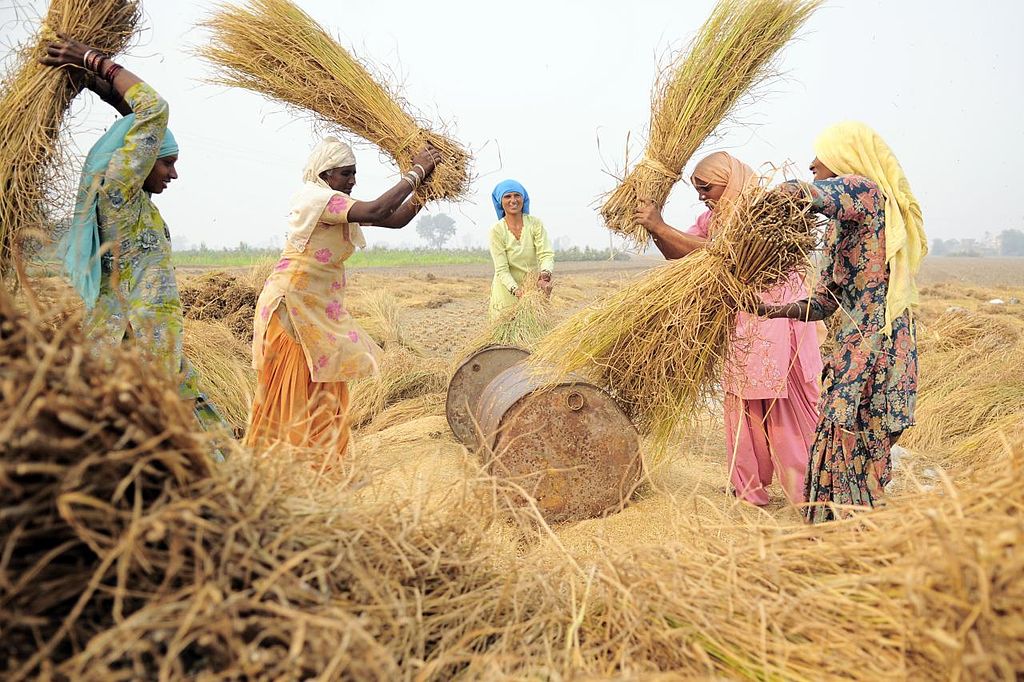 Nature of the Indian Economy Tnpsc