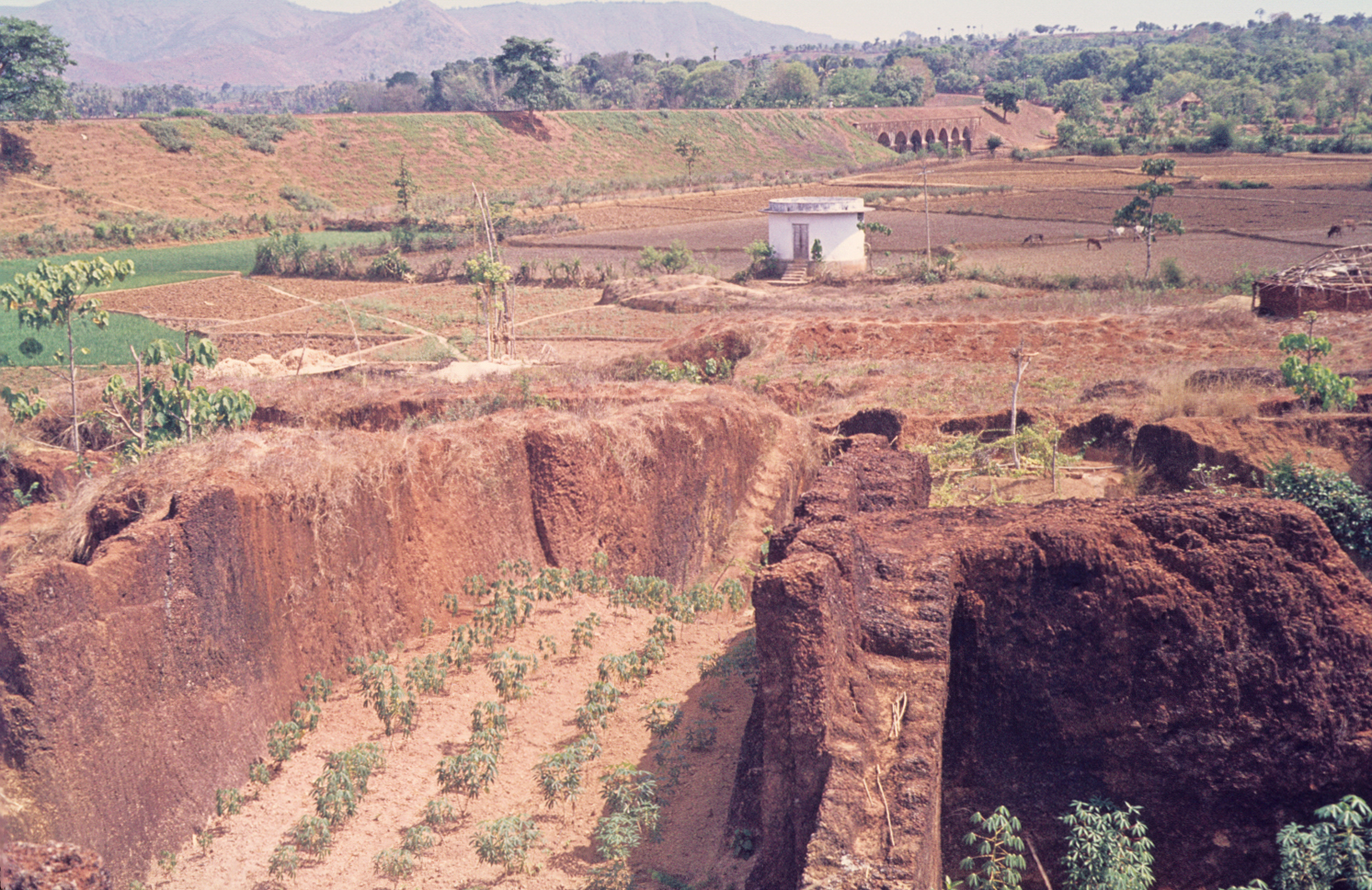 Types of soil classification india and its Distribution Upsc