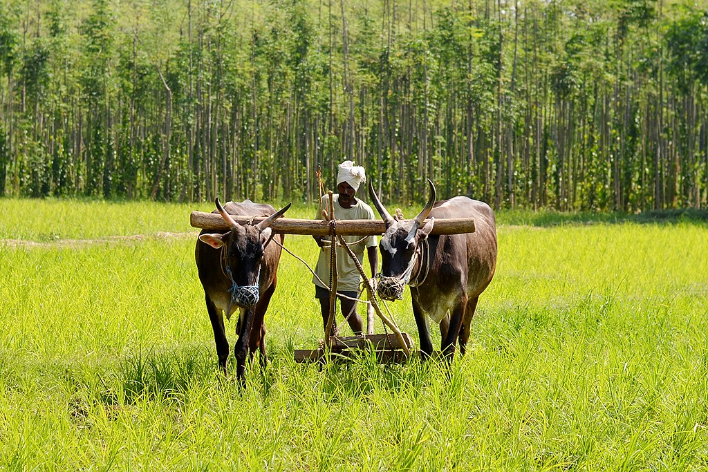 Problems faced by farmers in India Upsc