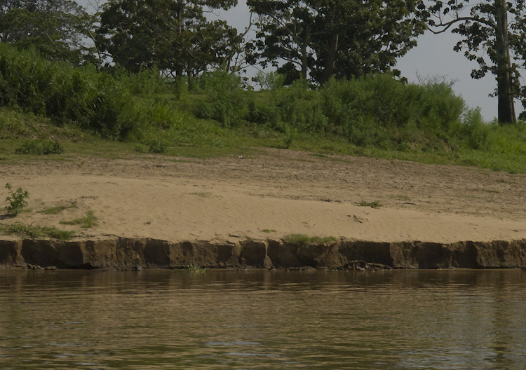 Alluvial Soil in Tamil Nadu
