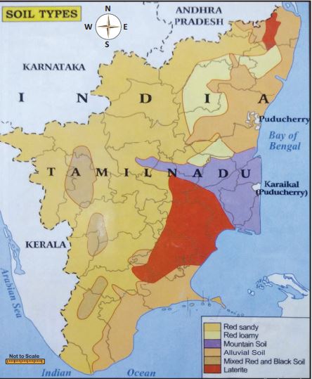 Types of soil found in Tamilnadu 