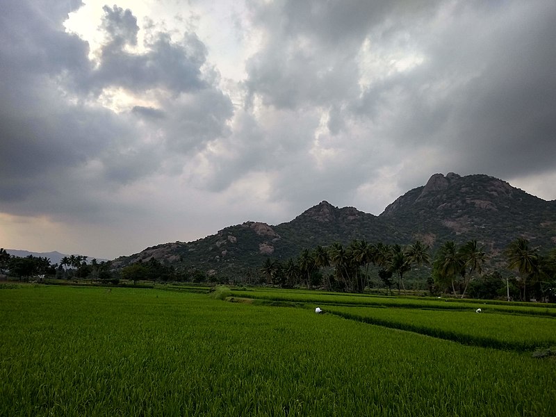 Kalvarayan Hills
