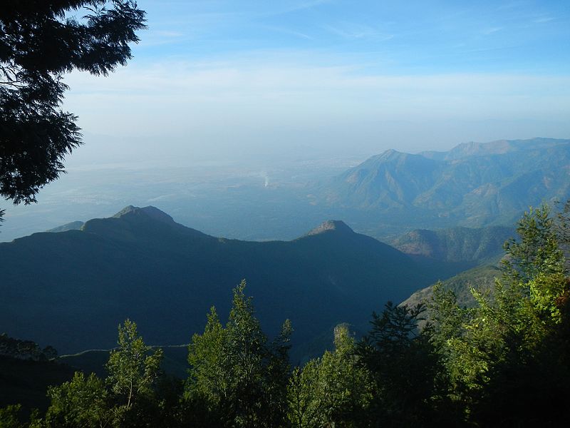 palani hills on western ghats